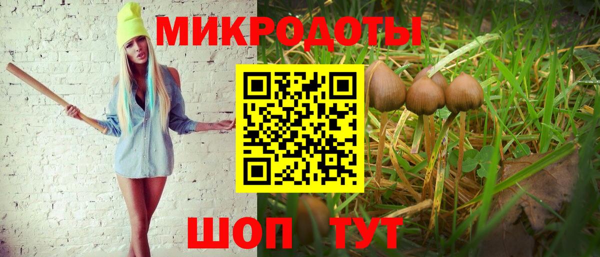 Галлюциногенные грибы мицелий  цены наркотик  Мариинск  Вход с VPN 